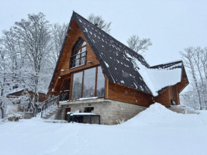 Vila Sun forest Žabljak